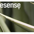 esense gmbh. gute webseiten. guter text.